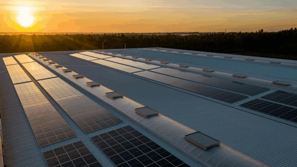 De verrassende realiteit van groene elektriciteit in Europa
